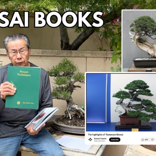 Best Bonsai Books + Bonsai Shows + Yamadori + When to Prune (Q&A)