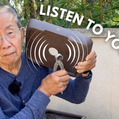 How to Choose a Quality Bonsai Pot (Q&A)