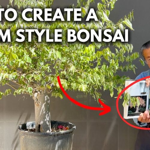 Broom Style Bonsai Tutorial (Inspired by Kyuzo Murata)